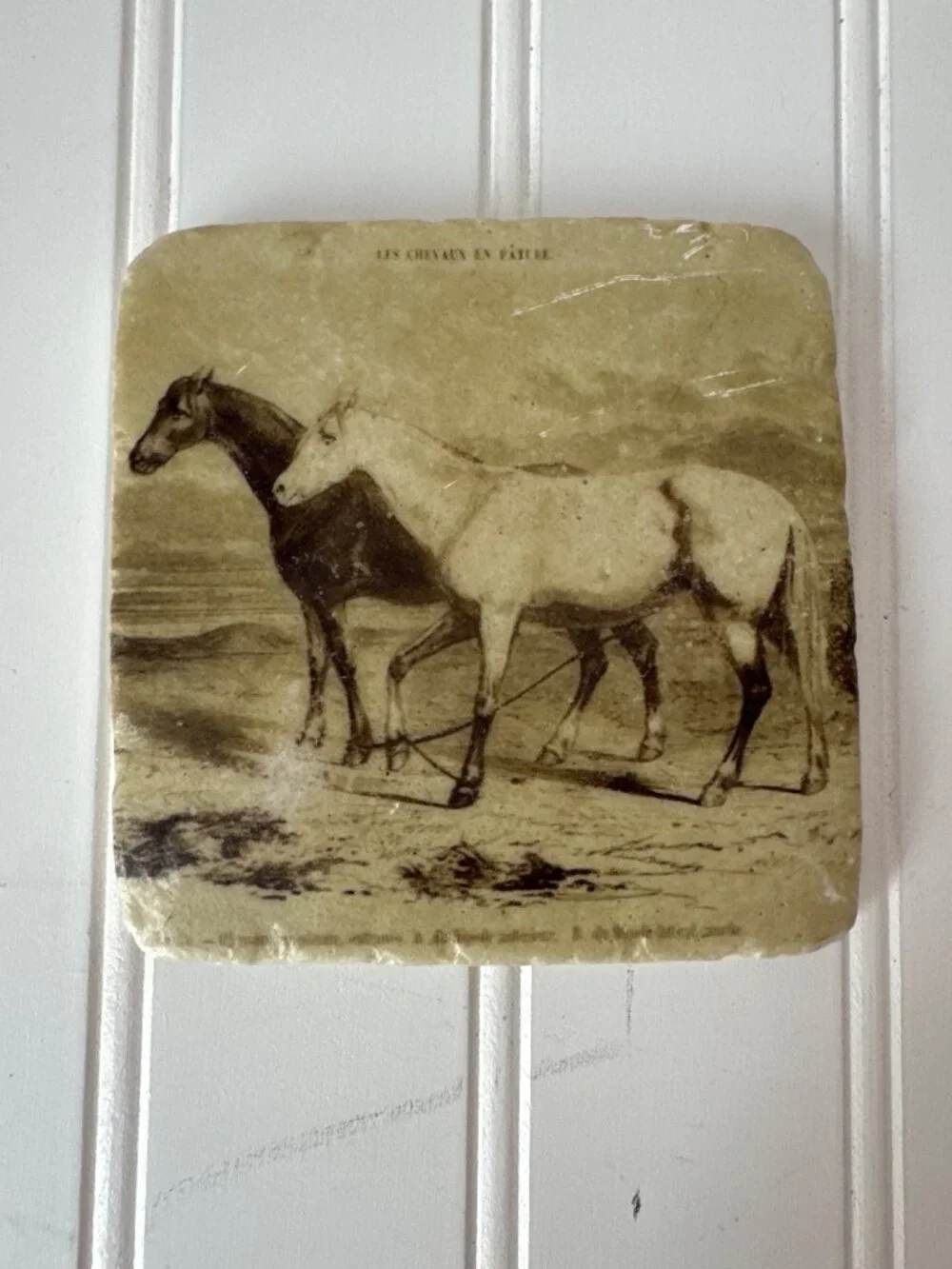 Tumbled Stone Horse Equestrian Coaster Set Cork Backings Rustic Beige Western